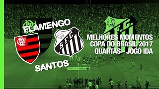 Melhores Momentos  Flamengo 2 x 0 Santos  Copa do Brasil  28062017 [upl. by Henderson924]