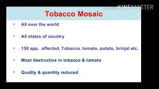 tobacco mosaic virus expalined pathology part [upl. by Irahs]