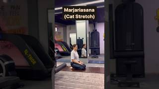 MarjariasanaBest Asana For hormonal imbalanceyogayogalifeyogamusictrendingshortsviralhealth [upl. by Nohsad]