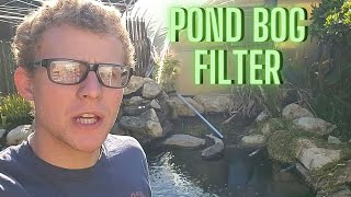 Koi pond bog filter clean out [upl. by Eelsel]