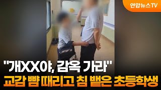 quot개XX야 감옥 가라quot 교감 뺨 때리고 침 뱉은 초등학생  연합뉴스TV YonhapnewsTV [upl. by Tarra]