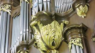 Deurne Sint Willibrorduskerk J S Bach Toccata amp Fugue D Minnor BWV Bert Augustus organist [upl. by Jen]