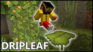 How Does DRIPLEAF Work In MINECRAFT [upl. by Jordain]