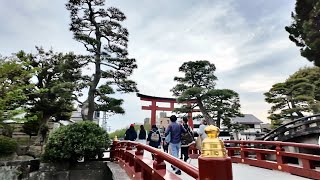 JAPAN KAMAKURA KOMACHI ST amp TSURUGAOKA SHRINE [upl. by Leahciam]