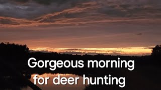 Gorgeous morning for deer hunting  winded by does [upl. by Saxela]