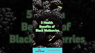 5 Health Benefits of Black Mulberries You Need to Know  carecrash [upl. by Emlynn]