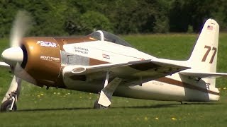 Grumman F8F2 Bear Cat Rare Bear Reno Racer Model Aircraft 28Oldtimermeeting 2017 [upl. by Rance]