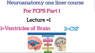 Neuroanatomy one liner course FCPS part 1Lecture 1neuroanatomy for fcps 1neuroanatomy lectures [upl. by Eselehs502]