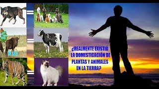 ¿REALMENTE EXISTIÓ LA DOMESTICACIÓN DE PLANTAS Y ANIMALES EN LA TIERRA [upl. by Gurango]