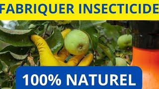 FABRIQUER INSECTICIDE 100 NATUREL POUR VOS CULTURES [upl. by Buddy]