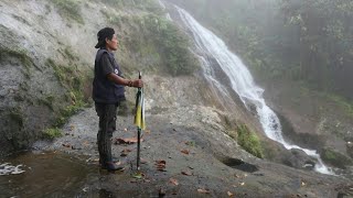 Colombias Awa Indigenous people defenders of the jungle struggling to survive  AFP [upl. by Anaizit]