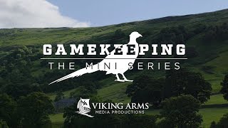 Gamekeeping The Mini Series  Pheasant E2 [upl. by Noyar]