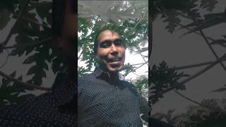 Samar Singhbhojpuri song [upl. by Ahsimik67]