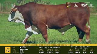 LOTE 12 K159 [upl. by Acined]