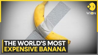 DuctTaped Banana On A Wall Sold For 6 Million  World News  WION [upl. by Adnarrim92]