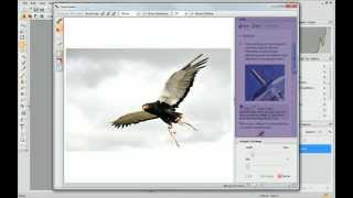 Serif PhotoPlus X6 Tutorial  Cutting Out Photos [upl. by Laaspere202]