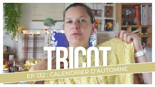 Calendrier de lautomne  Tricot Ep 132 [upl. by Assenej]