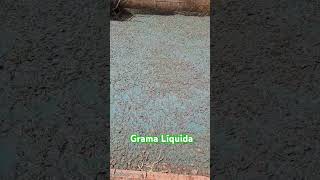 Plantio de grama líquida 💦🌱🌞 gramaliquida hidrossemeadura grama [upl. by Dareece]