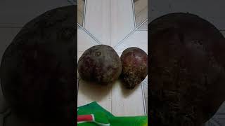 Beetroot health benefits 😁😁😁😁😁😁😎yt short [upl. by Einhorn624]