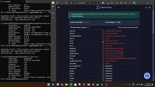 SigCheck  Sysinternals Suite part 2  Navybird [upl. by Sillsby11]