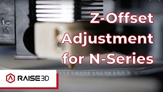 NSeries ZOffset Calibration Guide  Raise Academy [upl. by Ias521]