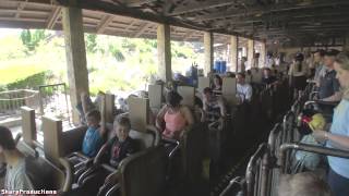 Expedition Everest OnRide Disney Worlds Animal Kingdom [upl. by Lorine235]