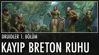 Druid DiriliÅŸ Breton ve Druidlerin KÃ¶keni [upl. by Randell]