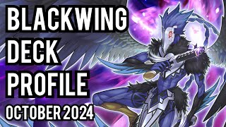 TOP 4 Blackwing Deck Profile OCTOBER 2024 [upl. by Collie]