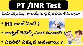 PTINR Test in Telugu [upl. by Annekim439]