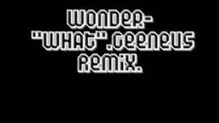 Wonder  quotWhatquot Geeneus Remix [upl. by Lejna298]