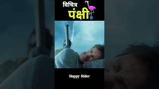 jadui pakchi story jaduiped animation movie factsinhindi amazingfacts movieanalysis facts [upl. by Ahsekahs]