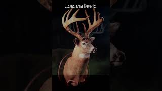 Pick your giant typical hunting deerhunting whitetails bigbucks fishing outdoors [upl. by Valenza]