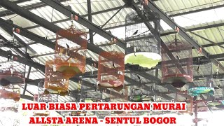 Waoo Serunya lomba burung murai di ALLSTAR ARENA  Sentul Bogor 201024 [upl. by Risa]