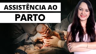 Assistência de Enfermagem ao Parto Profª Juliana Mello [upl. by Avruch865]