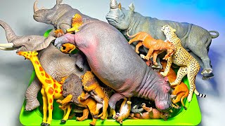 African Animals Figurines Collection  Lion Elephant Rhinoceros Cheetah Okapi Gorilla Hyena [upl. by Fiedler]