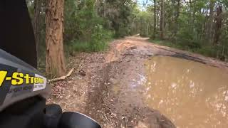 2017 Suzuki V Strom 650 XT offroad test with Michelin Anakee Adventure Tyres Ourimbah State Forest [upl. by Renruojos]