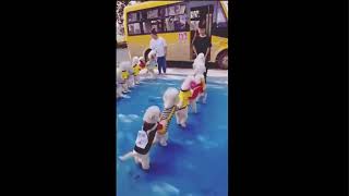 Dogs show  Best Dog Show  Dog Show Video [upl. by Ardnuaek804]