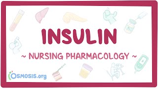 Insulin Nursing Pharmacology [upl. by Hara]