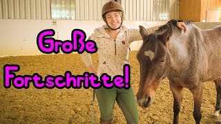 Große Fortschritte 🦄 Dressur mit Joey [upl. by Petras]