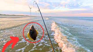 How to Catch Flounder in the Scandinavian Sea Pro Tips Catch amp Cook [upl. by Arramat543]