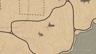 Where to find Badgers rdr2 confirmed badger location [upl. by Ahsiemac]