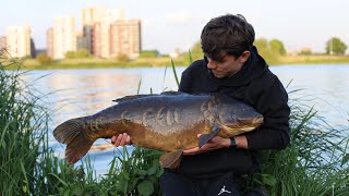 HOW to catch BIG OLD CARP  Walthamstow reservoirs [upl. by Birkle647]