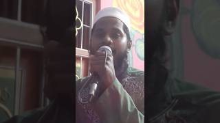 Sonar Madina music ibrahimgaan bangla [upl. by Anik948]