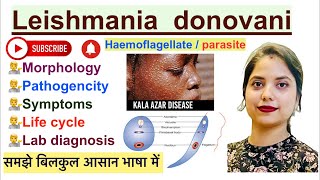 Leishmania donovani Parasite in Hindi  Life cycle  Lab diagnosis  Haemoflagellate [upl. by Anuahsed]