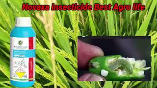 Novaxa insecticide Best Agro life Novaluron 525Indoxacarb 45SC [upl. by Henricks]