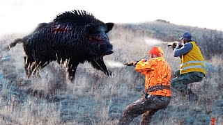 TOP 50 İNANILMAZ YABAN DOMUZU AVI derlemeWild Boar Hunting Down Americas Most Destructive Pest [upl. by Rabjohn539]