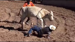 Vaqueros en peligro 11  Jaripero Purisima de Maguey [upl. by Naejeillib554]