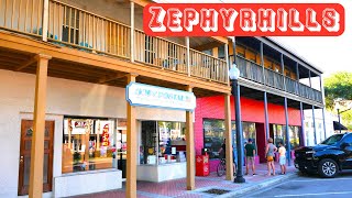 Zephyrhills Florida  Driving Through Zephyrhills 4k UHD [upl. by Onilegna419]