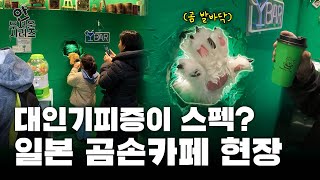 청년재단X안무서운회사 고립 은둔도 스펙이다 곰손카페🐻🐾  안무서운시리즈 EP2 [upl. by Eceryt]