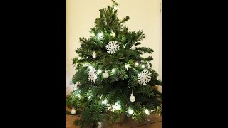 Weihnachtsbaum selber machen  Christmas Tree DIY eng sub [upl. by Lishe]